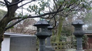 徳川家の忠誠を表すために諸大名が寄進