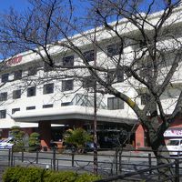 大きな桜が沢山あります。夜桜が美しいのでは・・・