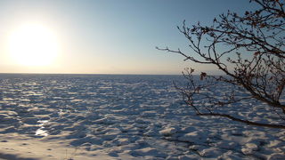 一面流氷に覆われていました