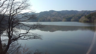 湖を一周するマラソン大会に参加