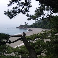 桂浜
