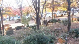 代々木門の向かい側