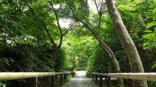 光悦寺のいいところ！