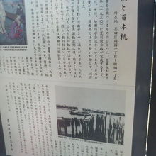 隅田川の風物詩だったそうです。