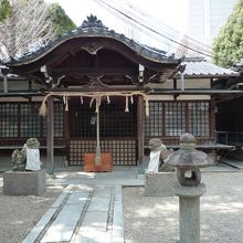 この日は静かでした