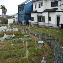 文塚のある場所の前景