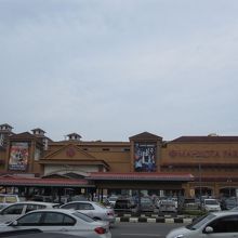 「巨大」というほどではありません