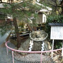 周囲の松もきれい