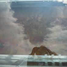 ガラス越しに出土した時の状況が見られる