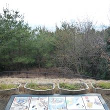 古墳からの景色