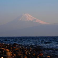 海岸は岩が転がっていて歩きづらい。