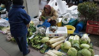 規模もそれなりに大きいし、けっこう賑やかです