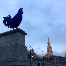 超派手な青いトリ