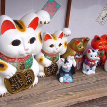 招き猫がたくさん置かれていました。