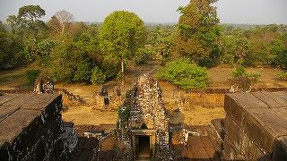 密林の眺めが素晴らしい