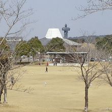 広い敷地周りにはソメイヨシノが植樹されている