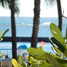 ぼんやりと眺めるビーチと、のどごし爽快なビールが心地よい。