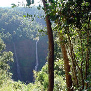熱帯雨林の森から落ちる、１００ﾒｰﾄﾙ以上の落差のある滝が２本。
