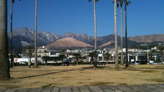 なんで禿げてんだ～？