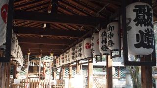 飲んでいい？　だめ？