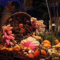秋のボタニカルガーデン