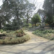 この辺りが「フランス山」の頂上になります