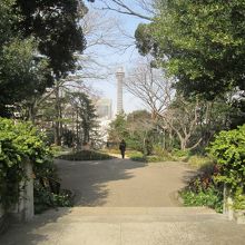 振り返れば、正面にはマリンタワーが大きく見えます