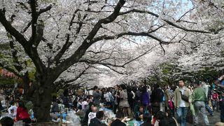 歩けないほどの人です