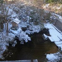 庭側の部屋でした