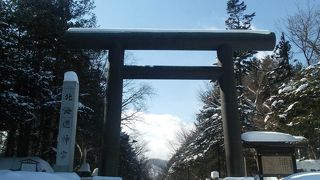 雪の神宮は素敵でした。