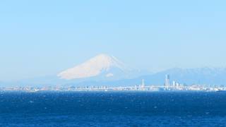東京湾岸が３６０度見晴らせます