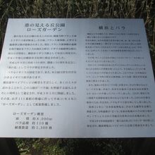 紹介プレートです