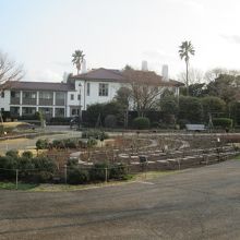 バラの季節には、さぞかし美しいのでしょうねぇ