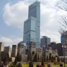 園内からの、あべのハルカスはなかなかのものです。