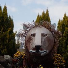 ライオンに近づく。頭の上のスズメは本物