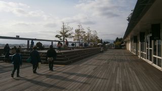 のんびり飛行機をながめる