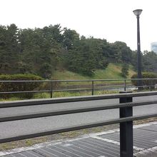 昼時でもランナーが絶えません