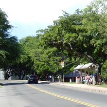 バス通りを歩く道は、ゆるやかな下り坂。