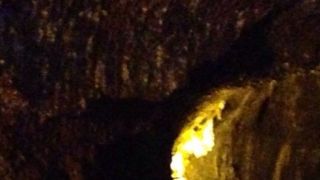 思っていたより短い