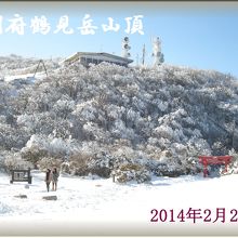 神社があるとは知りませんでした