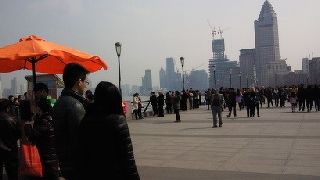 気持ちよく散歩ができる