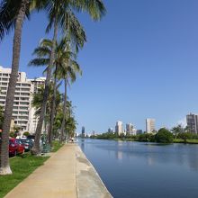 朝の散歩にお勧め