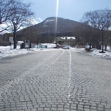 車道の雪解けは早いです