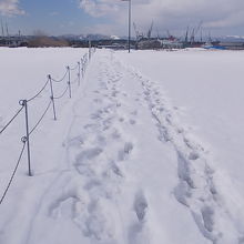 雪がザクザクの時期はズボズボはまって大変です