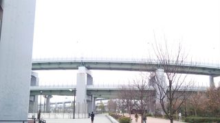 バスケにスケボー