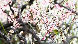 【撮影スポット】