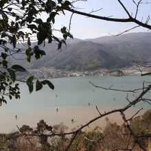 頂上から内湾を望む。