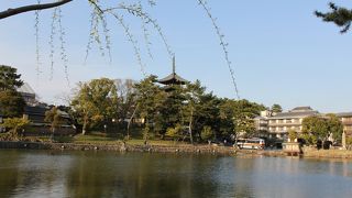 天平時代にさかのぼる美しい国宝