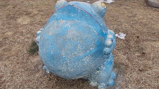 カエルさんがいます！！！！！