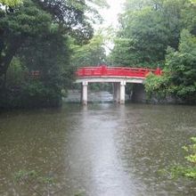 神池　神橋